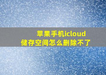 苹果手机icloud储存空间怎么删除不了