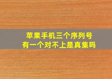 苹果手机三个序列号有一个对不上是真集吗