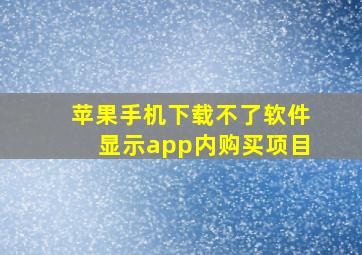 苹果手机下载不了软件显示app内购买项目