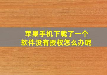 苹果手机下载了一个软件没有授权怎么办呢