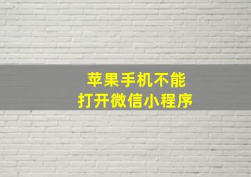 苹果手机不能打开微信小程序