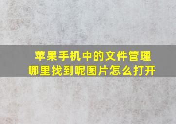 苹果手机中的文件管理哪里找到呢图片怎么打开