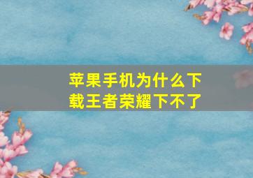 苹果手机为什么下载王者荣耀下不了