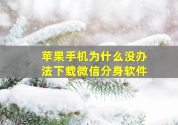 苹果手机为什么没办法下载微信分身软件