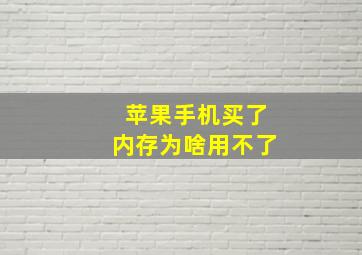 苹果手机买了内存为啥用不了