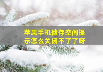 苹果手机储存空间提示怎么关闭不了了呀