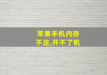 苹果手机内存不足,开不了机