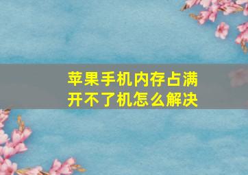 苹果手机内存占满开不了机怎么解决