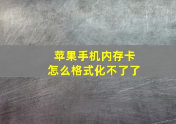 苹果手机内存卡怎么格式化不了了