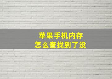 苹果手机内存怎么查找到了没