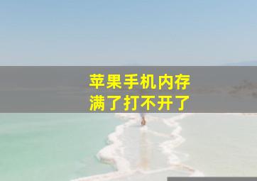 苹果手机内存满了打不开了