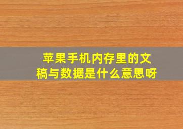 苹果手机内存里的文稿与数据是什么意思呀