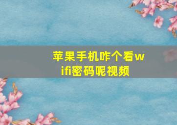 苹果手机咋个看wifi密码呢视频