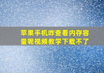 苹果手机咋查看内存容量呢视频教学下载不了