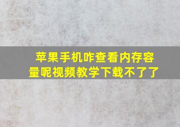 苹果手机咋查看内存容量呢视频教学下载不了了