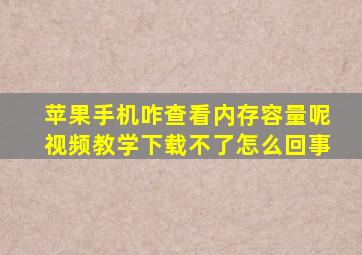 苹果手机咋查看内存容量呢视频教学下载不了怎么回事