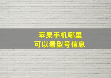 苹果手机哪里可以看型号信息