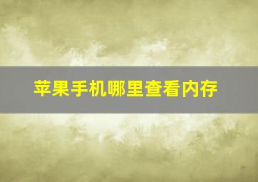 苹果手机哪里查看内存