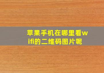 苹果手机在哪里看wifi的二维码图片呢