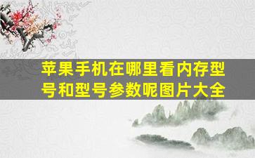 苹果手机在哪里看内存型号和型号参数呢图片大全