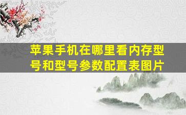 苹果手机在哪里看内存型号和型号参数配置表图片