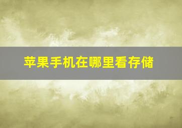 苹果手机在哪里看存储