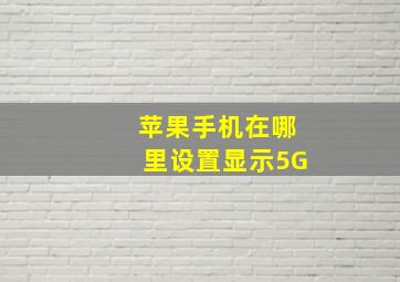 苹果手机在哪里设置显示5G