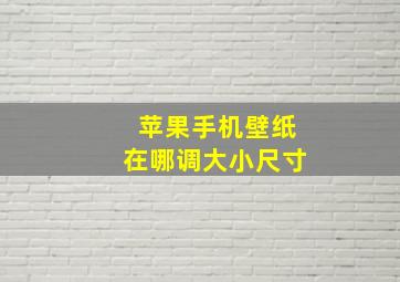 苹果手机壁纸在哪调大小尺寸