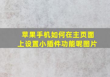 苹果手机如何在主页面上设置小插件功能呢图片