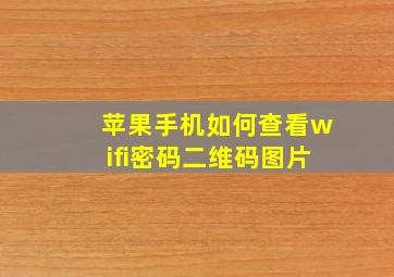 苹果手机如何查看wifi密码二维码图片