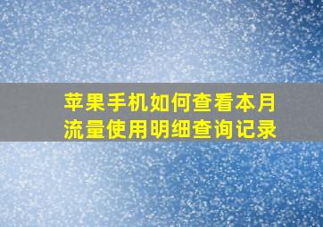 苹果手机如何查看本月流量使用明细查询记录