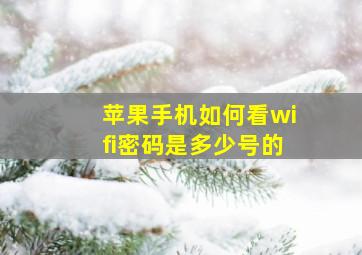 苹果手机如何看wifi密码是多少号的