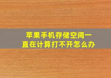 苹果手机存储空间一直在计算打不开怎么办