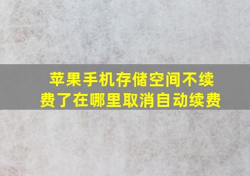 苹果手机存储空间不续费了在哪里取消自动续费