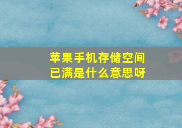 苹果手机存储空间已满是什么意思呀