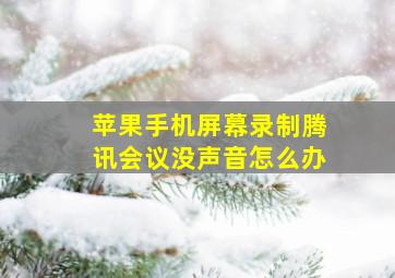 苹果手机屏幕录制腾讯会议没声音怎么办