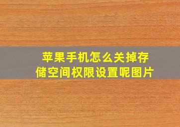 苹果手机怎么关掉存储空间权限设置呢图片