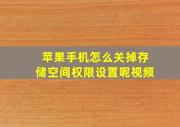 苹果手机怎么关掉存储空间权限设置呢视频