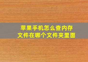 苹果手机怎么查内存文件在哪个文件夹里面