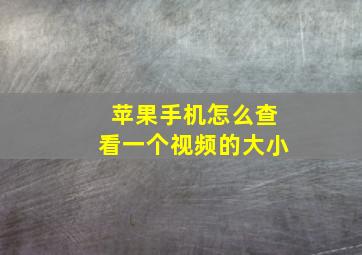 苹果手机怎么查看一个视频的大小