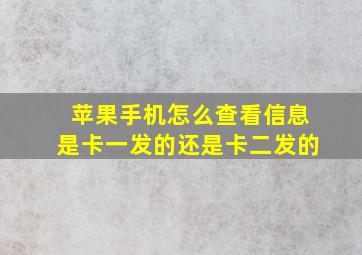 苹果手机怎么查看信息是卡一发的还是卡二发的