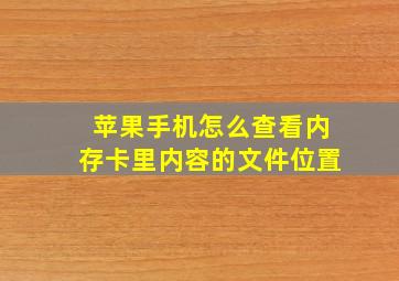 苹果手机怎么查看内存卡里内容的文件位置