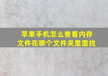 苹果手机怎么查看内存文件在哪个文件夹里面找