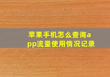 苹果手机怎么查询app流量使用情况记录