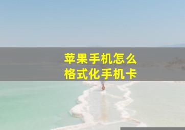 苹果手机怎么格式化手机卡