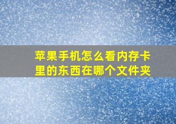 苹果手机怎么看内存卡里的东西在哪个文件夹