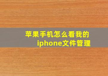 苹果手机怎么看我的iphone文件管理