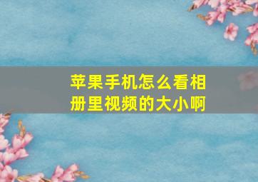 苹果手机怎么看相册里视频的大小啊