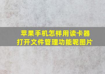 苹果手机怎样用读卡器打开文件管理功能呢图片