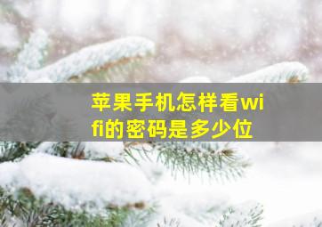 苹果手机怎样看wifi的密码是多少位